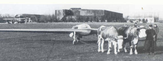 Horten flying wing under tow by oxen