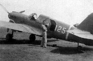 Jepson and P-40E